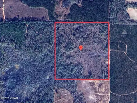40 Acres Swan Ln, Campbellton, FL 32426