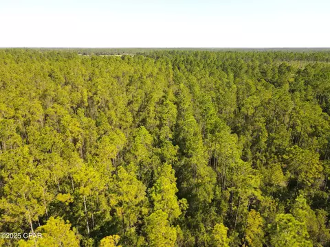 1257 NW Cr 274, Fountain, FL 32438