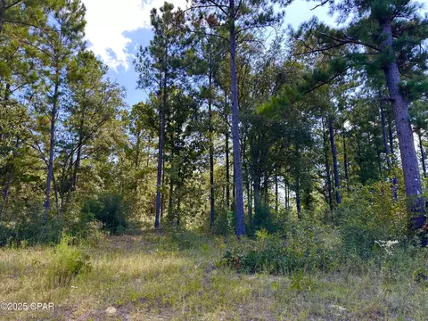 lot24 Fairview Rd, Marianna, FL 32448