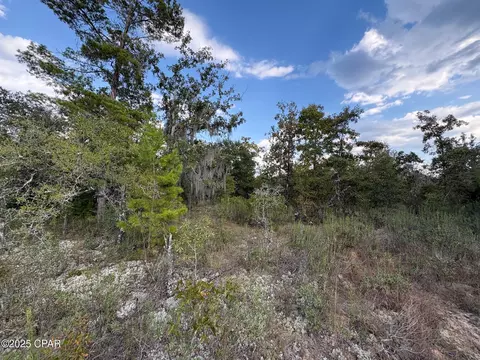 0 Channing Dr, Chipley, FL 32428 photo 2