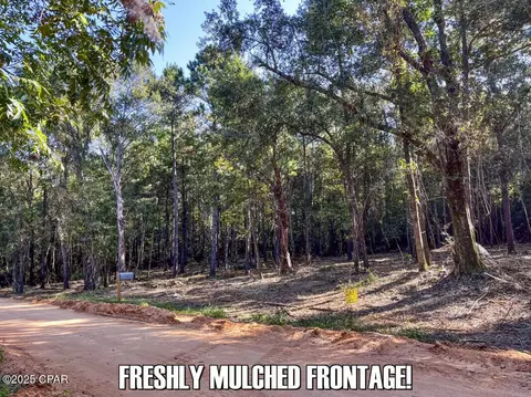 0 Ambus Ln, Chipley, FL 32428 photo 10