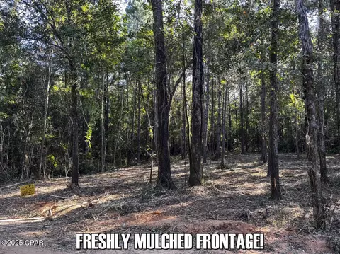 0 Ambus Ln, Chipley, FL 32428 photo 9
