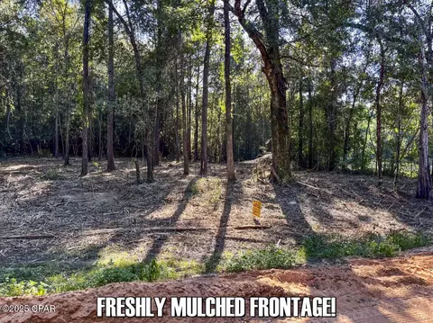0 Ambus Ln, Chipley, FL 32428 photo 5