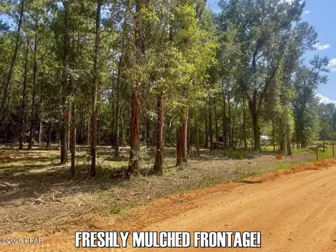 0 Ambus Ln, Chipley, FL 32428 photo 3