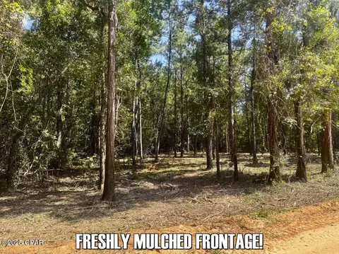 0 Ambus Ln, Chipley, FL 32428 photo 7