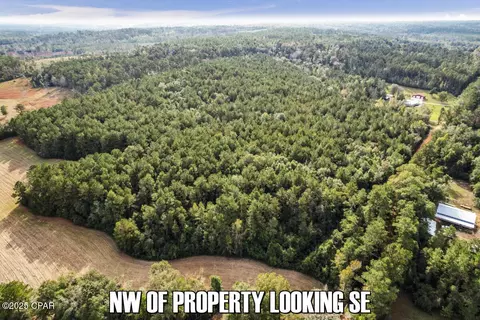 0 Ambus Ln, Chipley, FL 32428 photo 6