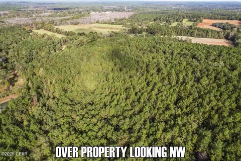 0 Ambus Ln, Chipley, FL 32428 photo 15