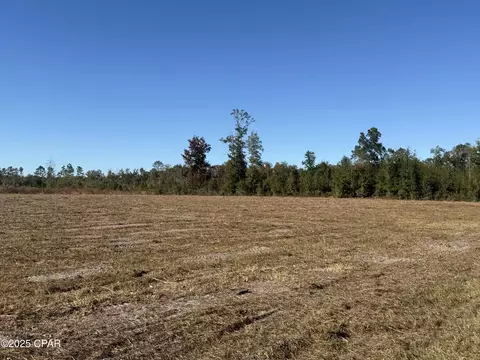lot1 Hwy 71, Wewahitchka, FL 32465