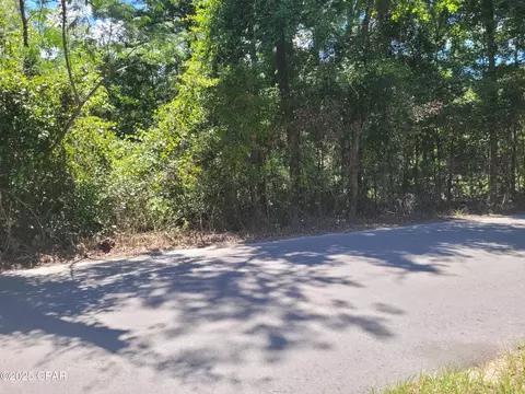 tbd Leonard Dr, Chipley, FL 32428 photo 6