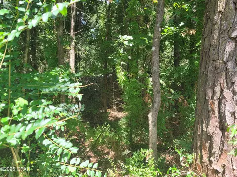 tbd Leonard Dr, Chipley, FL 32428 photo 12