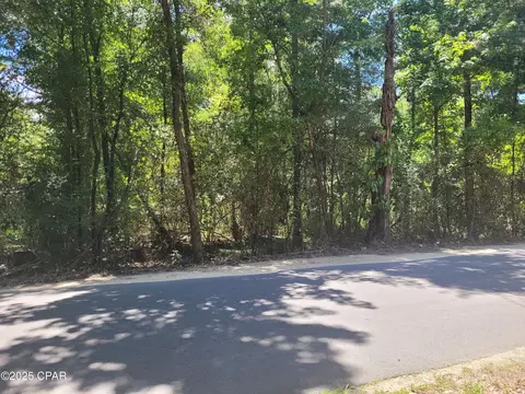 tbd Leonard Dr, Chipley, FL 32428 photo 7