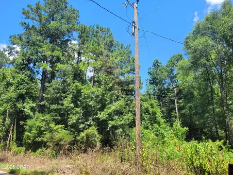 tbd Leonard Dr, Chipley, FL 32428 photo 8