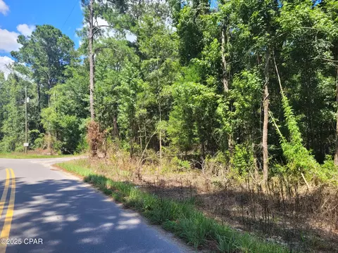 tbd Leonard Dr, Chipley, FL 32428 photo 15