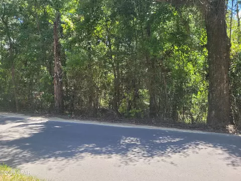 tbd Leonard Dr, Chipley, FL 32428 photo 5