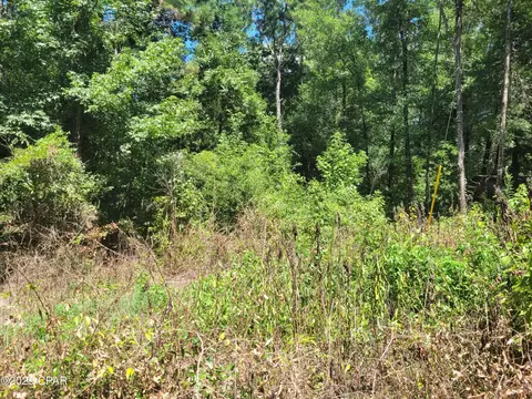 tbd Leonard Dr, Chipley, FL 32428 photo 17