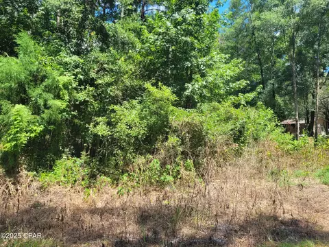 tbd Leonard Dr, Chipley, FL 32428 photo 16