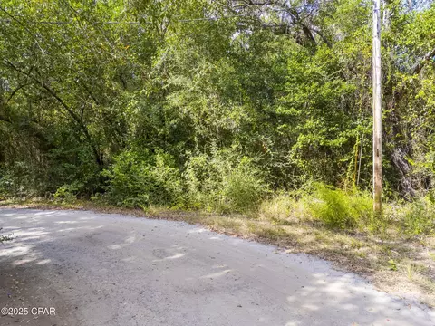000 Old Eucheeanna Rd, Freeport, FL 32439 photo 19