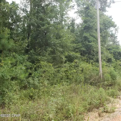Nnn Foxworth Road, Chipley, FL 32428