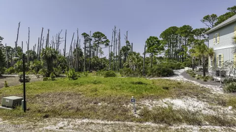 251 Cord Grass Way, Port St Joe, FL 32456