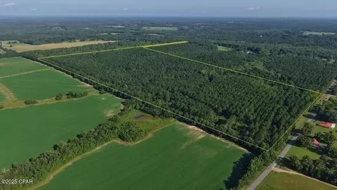 0 Co 147 Hwy, Laurel Hill, FL 32567