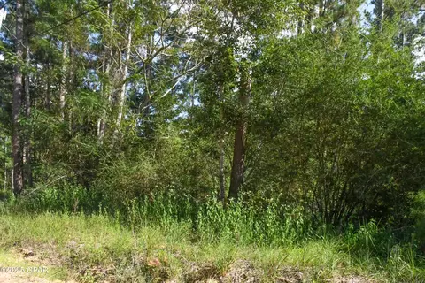0 Meadowlark Ln, Chipley, FL 32428 photo 3
