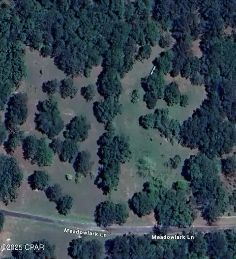 0 Meadowlark Ln, Chipley, FL 32428 photo 5