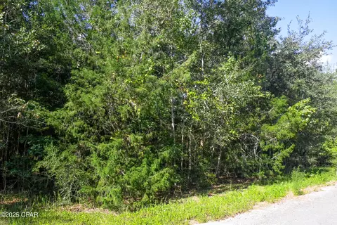 0 Meadowlark Ln, Chipley, FL 32428 photo 2