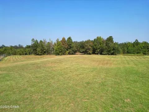 23940 Cr-73a, Altha, FL 32421 photo 7