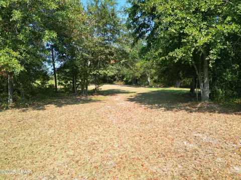 23940 Cr-73a, Altha, FL 32421 photo 8
