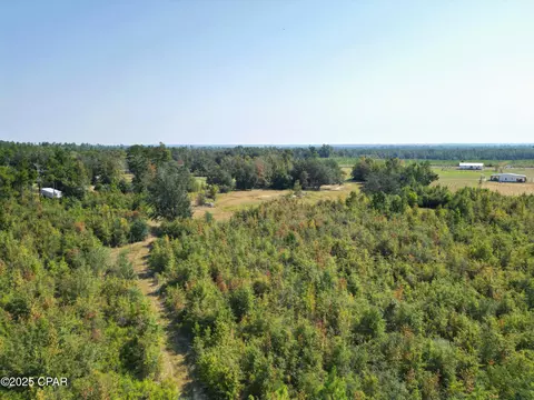 23940 Cr-73a, Altha, FL 32421 photo 9