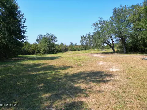 23940 Cr-73a, Altha, FL 32421 photo 5