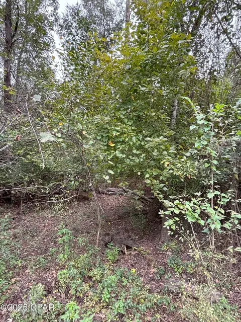 Nnn Hillcrest Street, Marianna, FL 32448