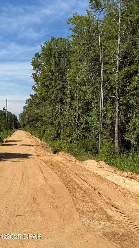 0 Douglas Ferry Rd, Bonifay, FL 32425