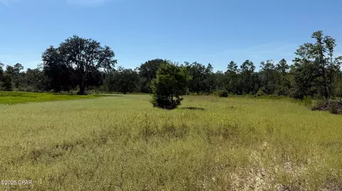 0 Jewel Rd, Alford, FL 32420