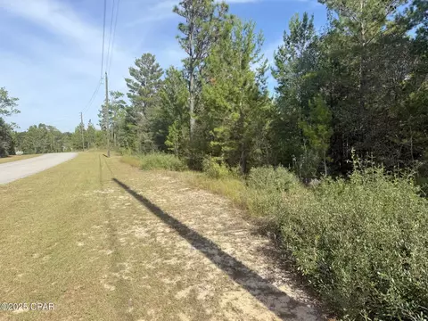 NNN Shenandoah Boulevard #3, Chipley, FL 32428