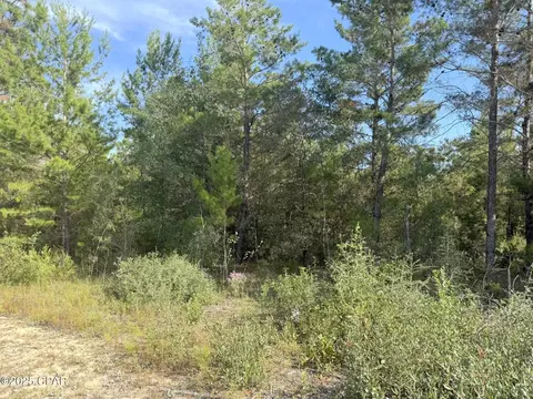 NNN Shenandoah Boulevard #3, Chipley, FL 32428 photo 4