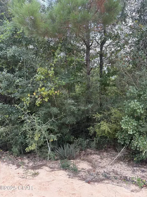 0 Grand Mesa Ave, Alford, FL 32420