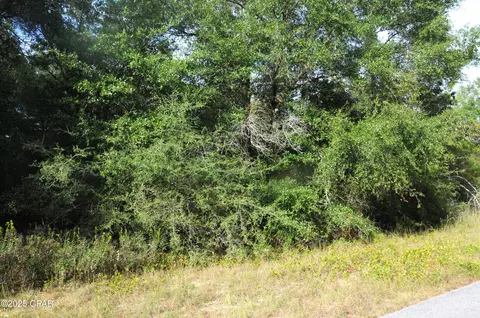 00 Quaker St, Chipley, FL 32428 photo 2