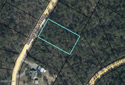 0 Monogahela Ave, Alford, FL 32420
