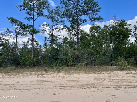 0 Frederica, Alford, FL 32420