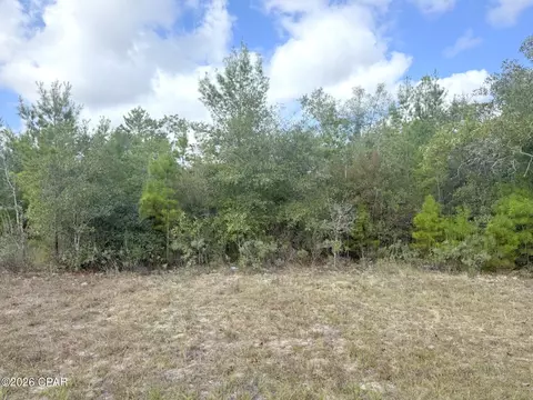 NNN Parkview Drive #13, Chipley, FL 32428 photo 4
