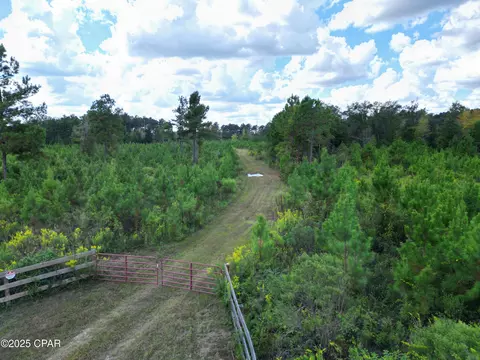 000 River Rd, Sneads, FL 32460 photo 4