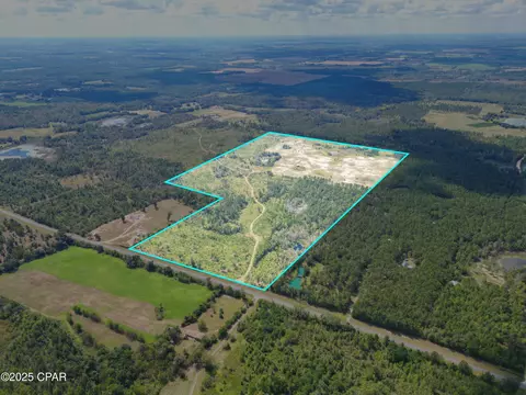 000 River Rd, Sneads, FL 32460 photo 2