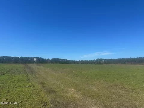000 River Rd, Sneads, FL 32460 photo 22