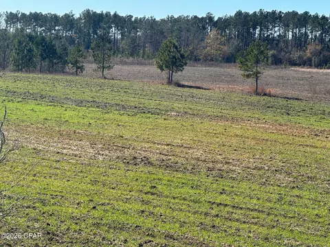 000 River Rd, Sneads, FL 32460 photo 18