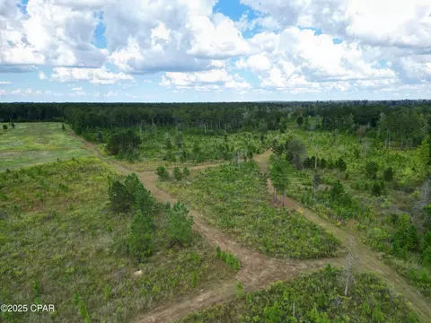 000 River Rd, Sneads, FL 32460 photo 17