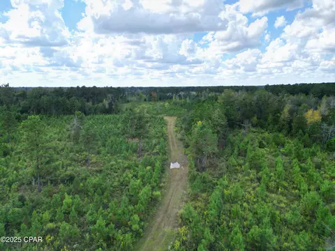 000 River Rd, Sneads, FL 32460 photo 5