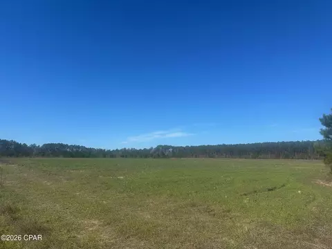 000 River Rd, Sneads, FL 32460 photo 8