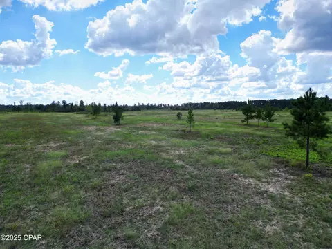000 River Rd, Sneads, FL 32460 photo 13