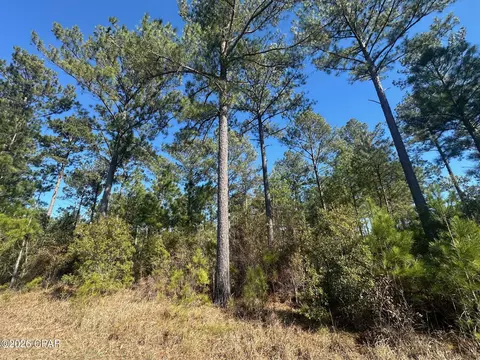 000 River Rd, Sneads, FL 32460